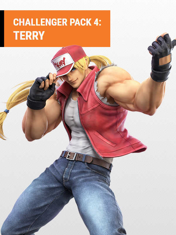 Super Smash Bros. Ultimate: Challenger Pack 4 cover