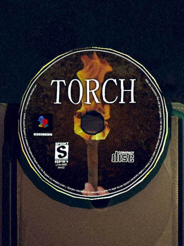 Torch cover