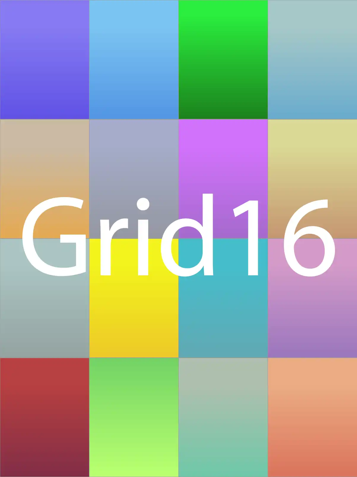 Grid16 cover