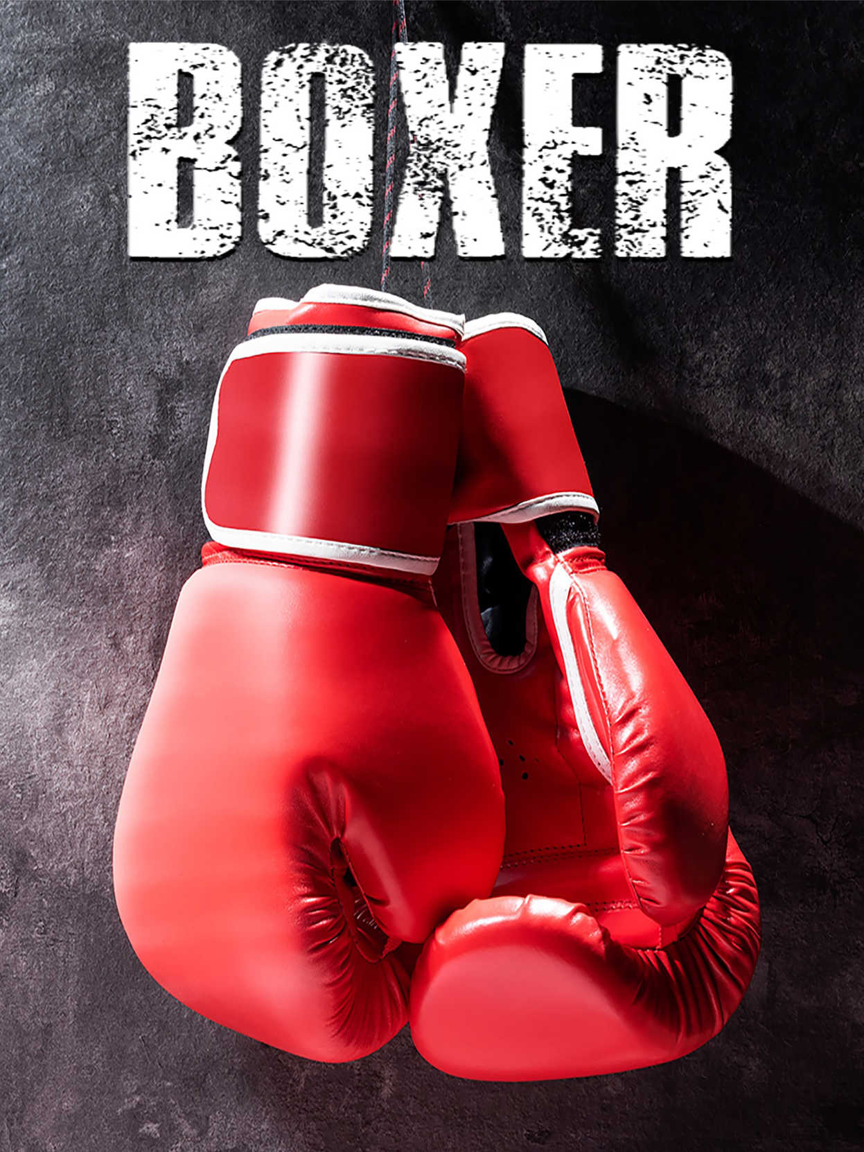 Boxer cover