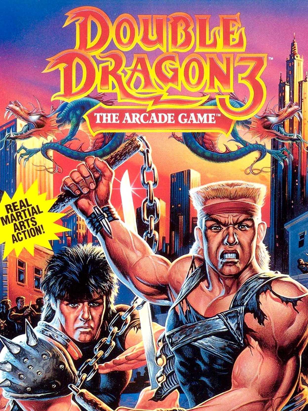 Double Dragon 3: The Arcade Game cover