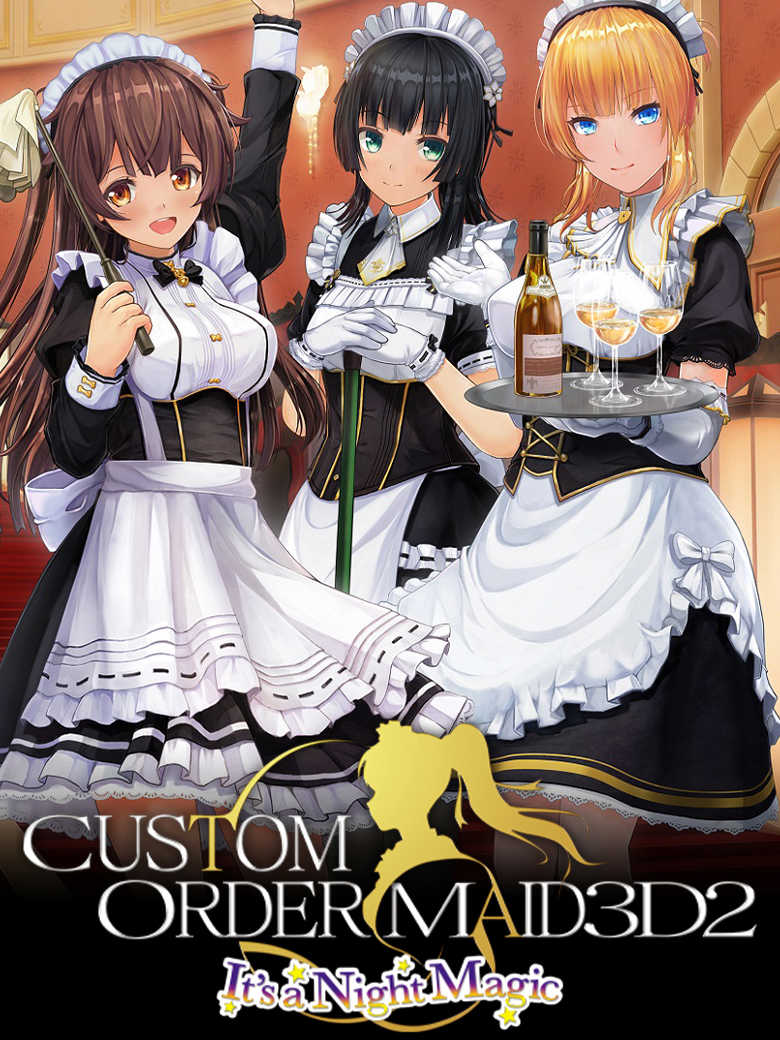 Custom Order Maid 3D2 cover