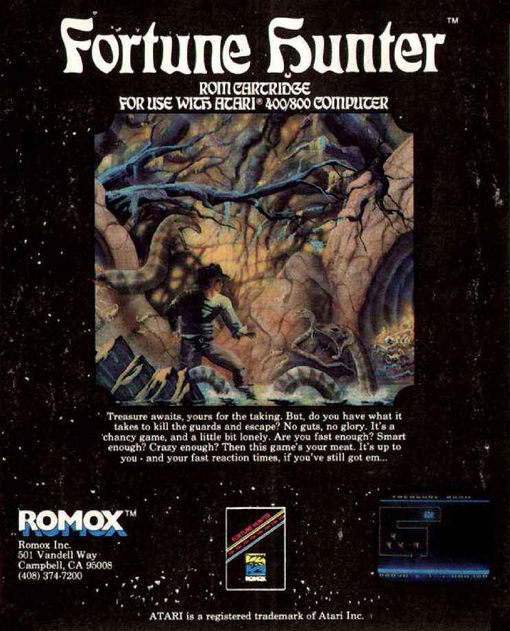 Fortune Hunter cover