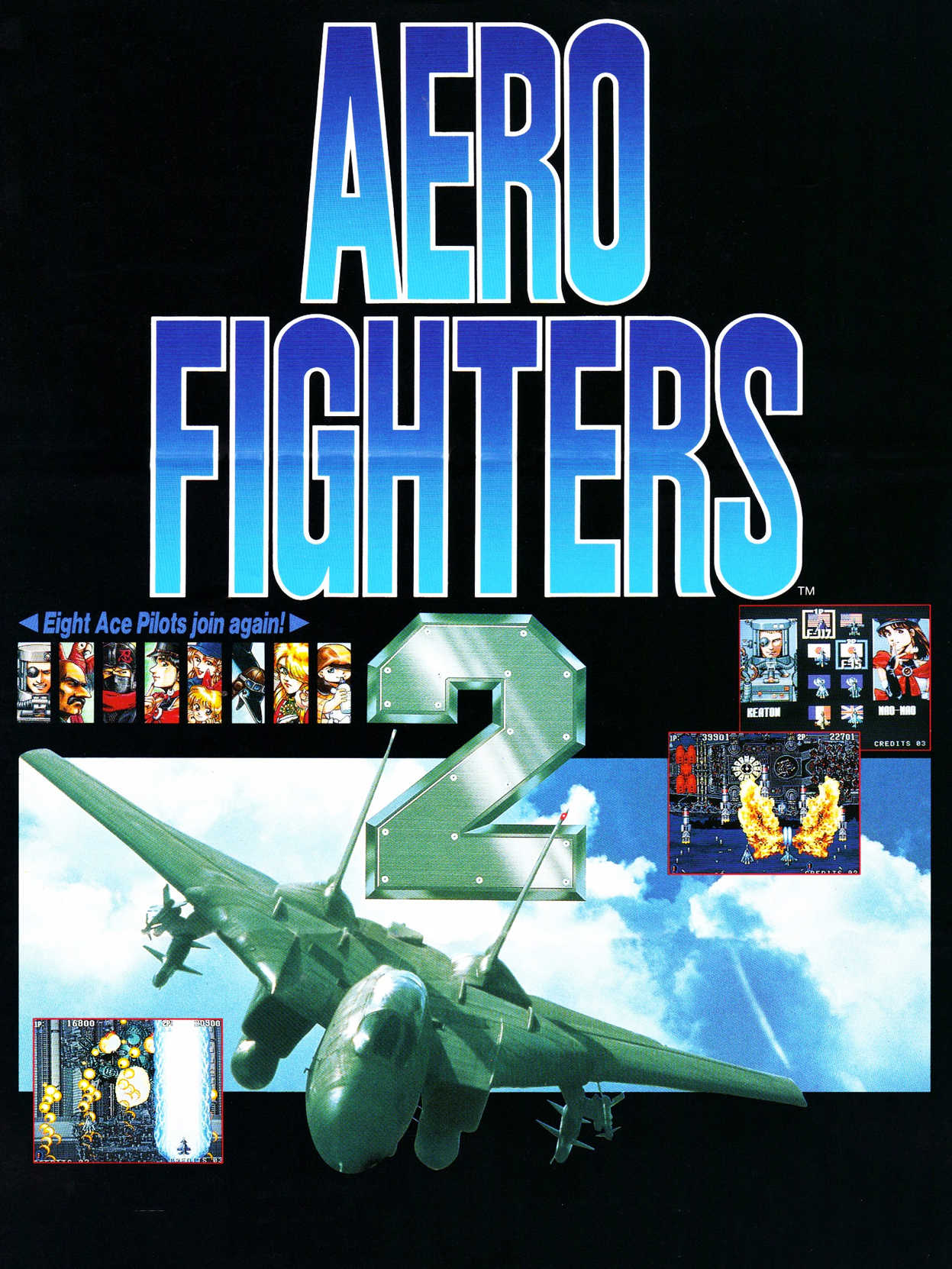 Aero Fighters 2 cover