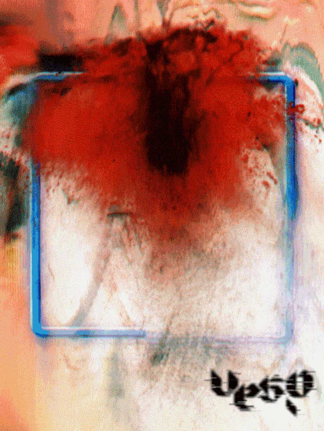 Vesp: a History of Sapphic Scaphism cover