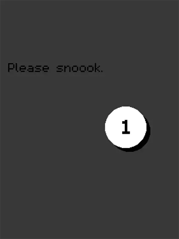 Snook cover