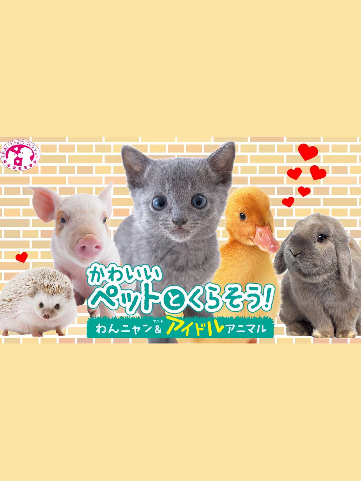 Kawaii Pet to Kurasou! Wan Nyan & Idol Animal cover