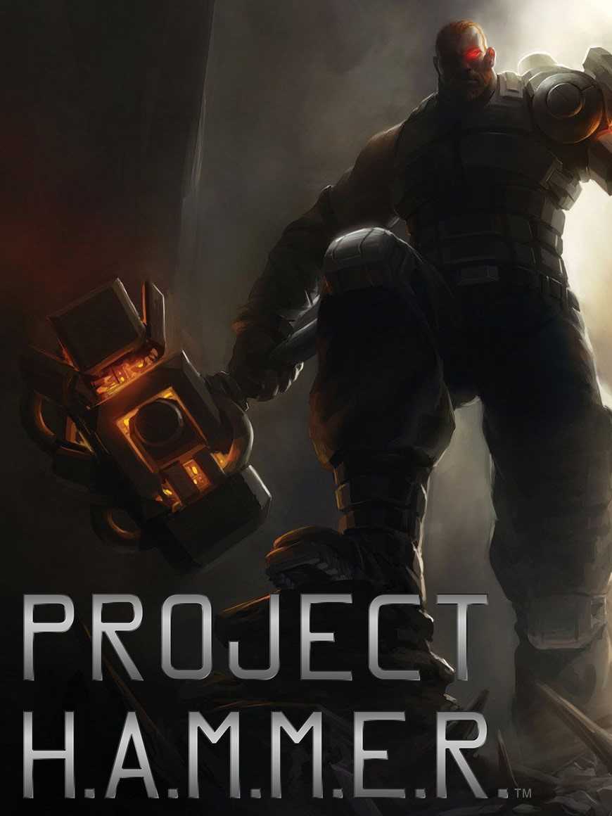 Project H.A.M.M.E.R. cover