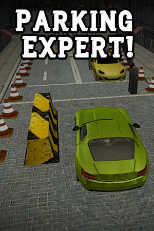 Parking Expert! cover
