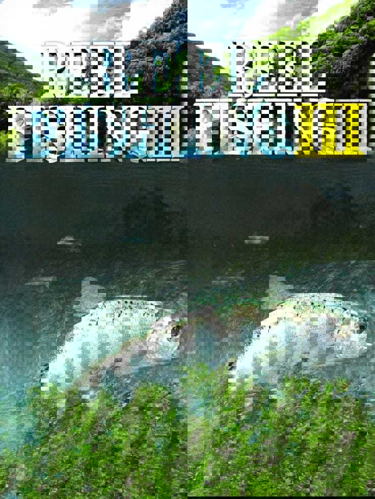 Reel Fishing III cover