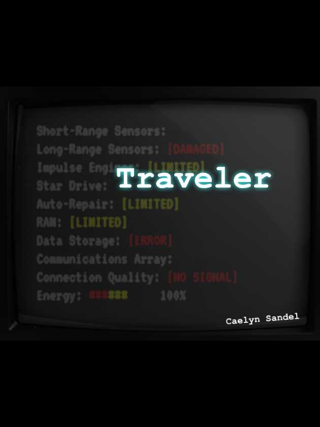 Traveler cover