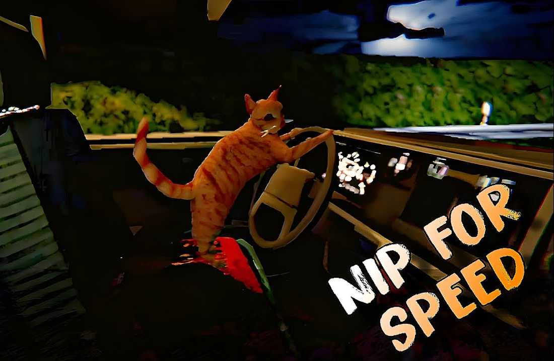 Nip For Speed cover
