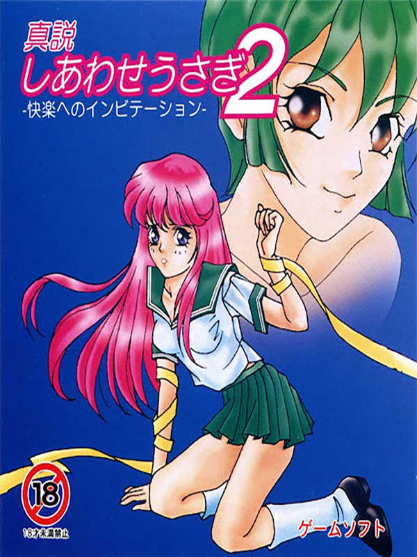 Shinsetsu Shiawase Usagi 2 cover