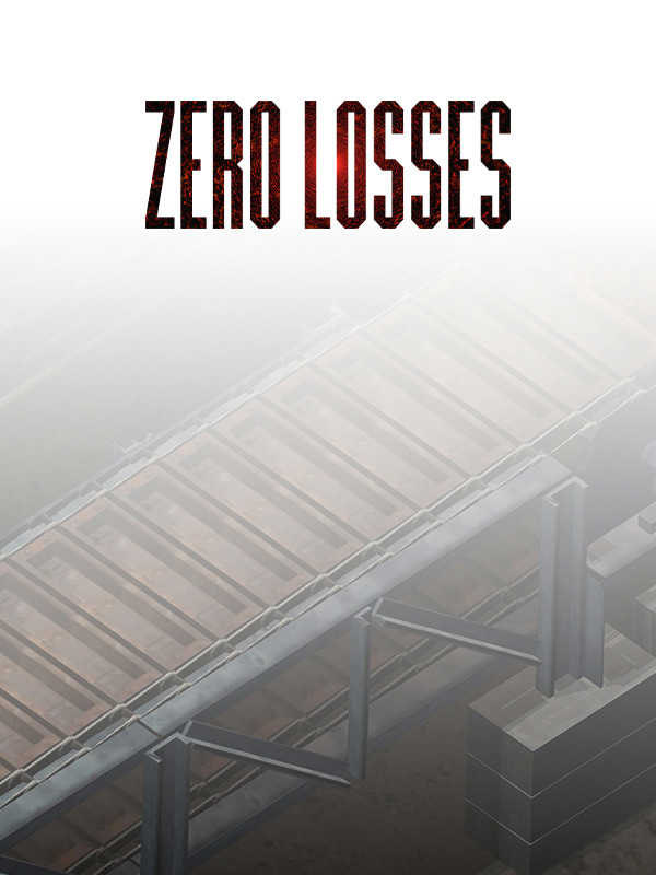 Zero Losses cover