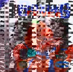 Boxing Fever cover