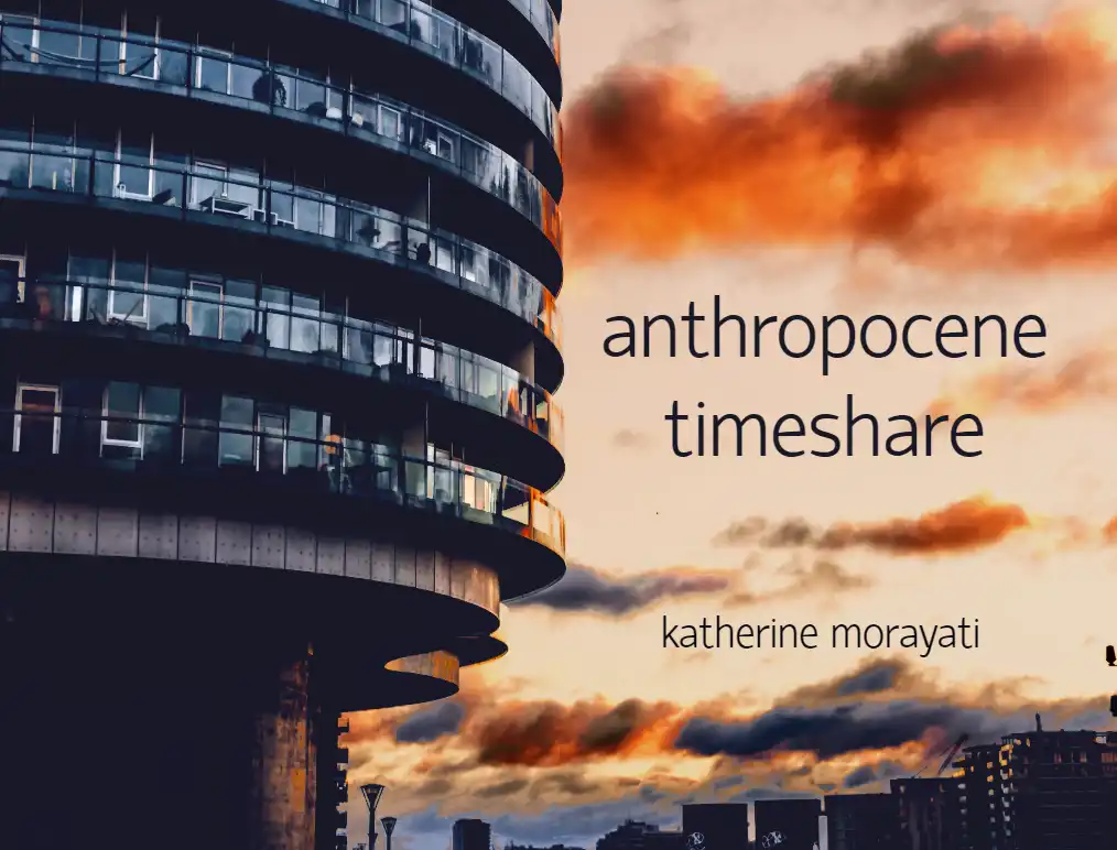 Anthropocene Timeshare cover