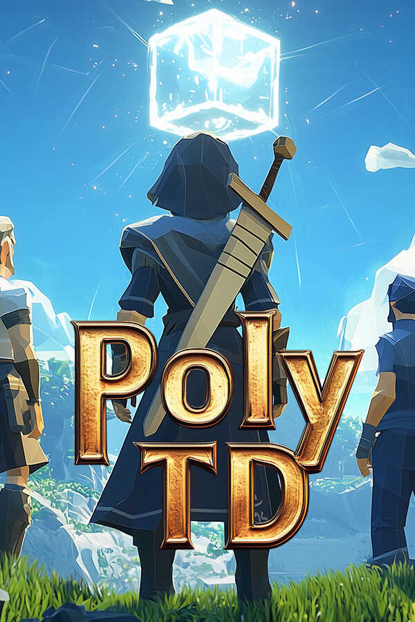 Poly TD cover