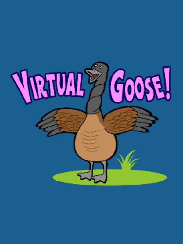 Virtual Goose! cover