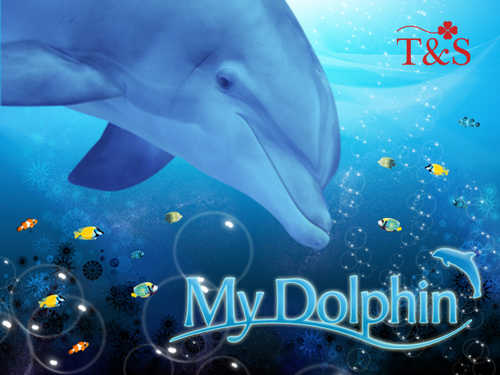 My Dolphin cover