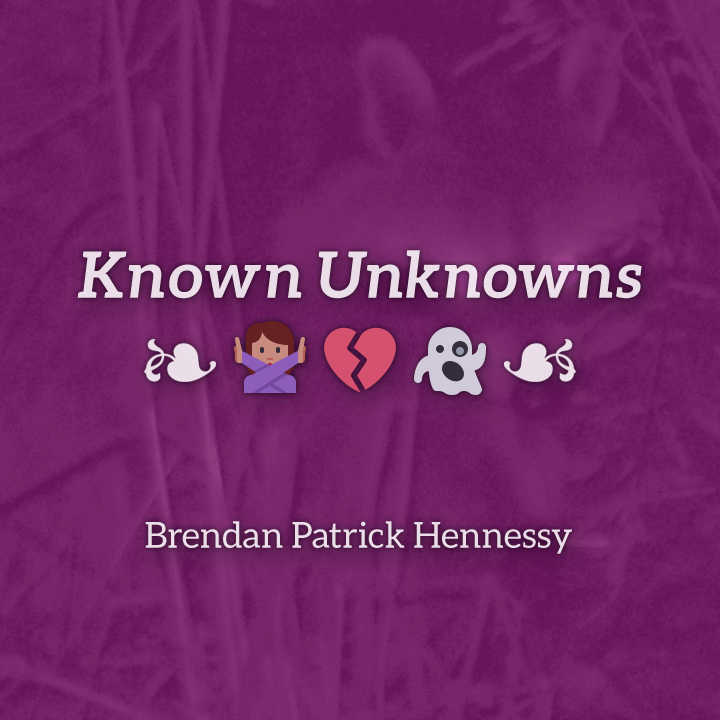 Known Unknowns cover