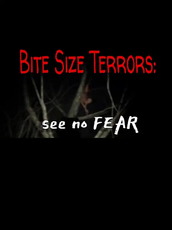 See No Fear cover