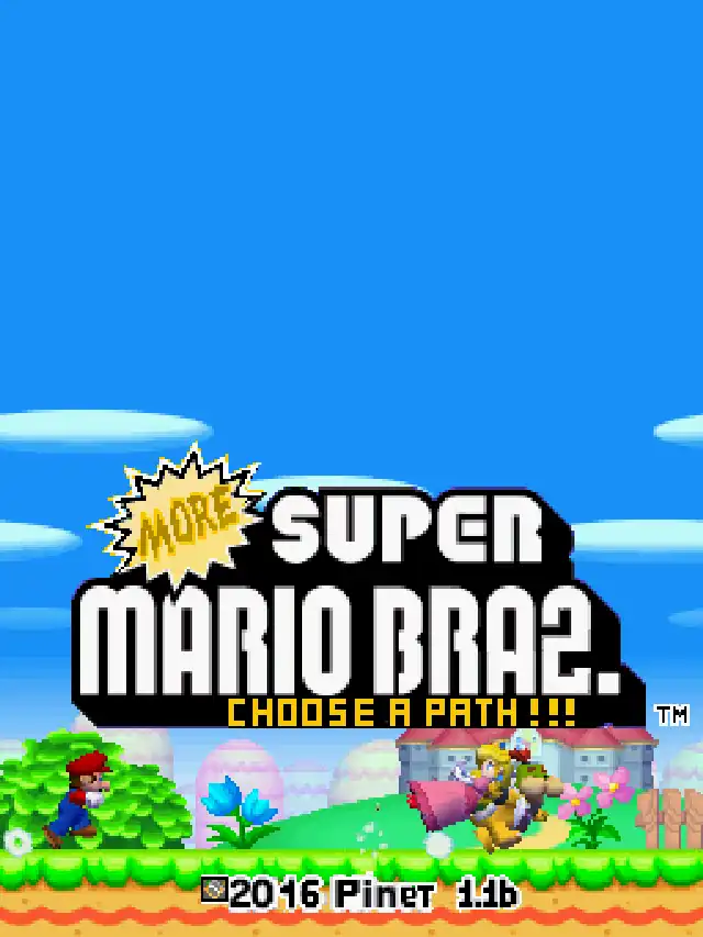 More Super Mario "Bras." 2: Choose a Path! cover