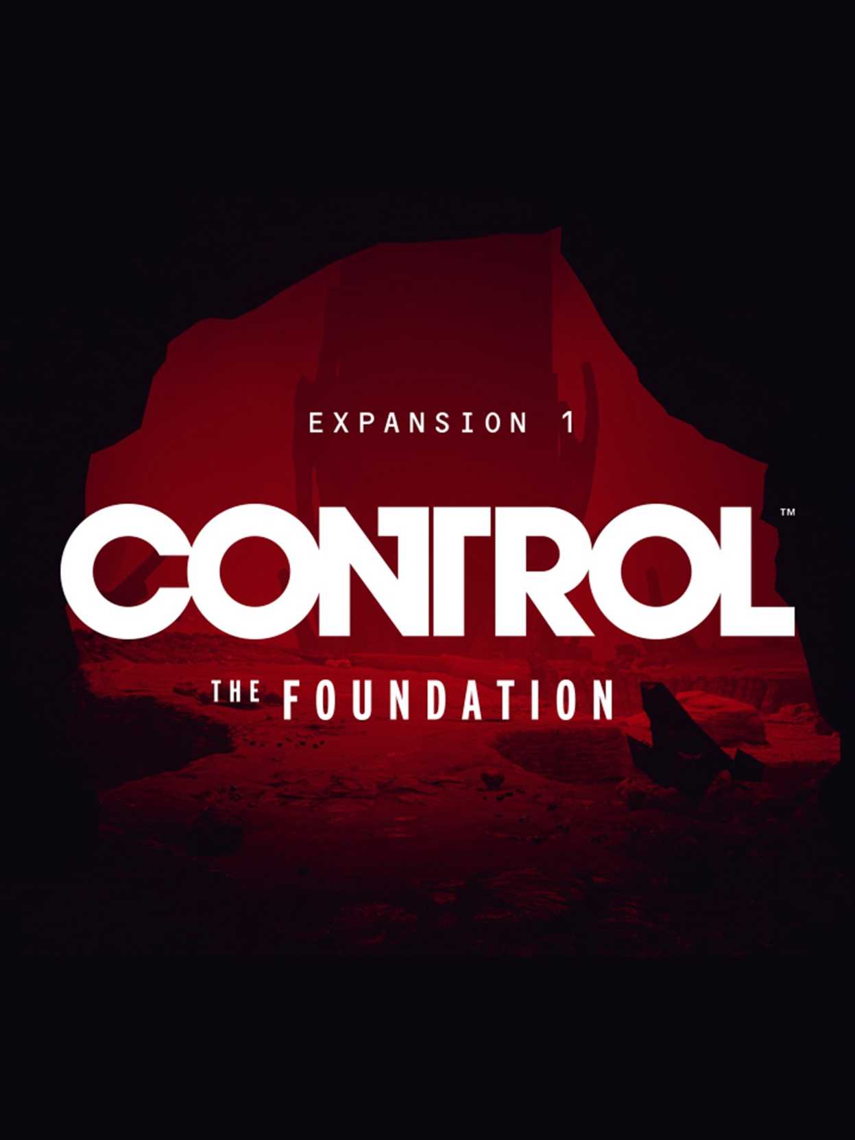 Control: The Foundation cover