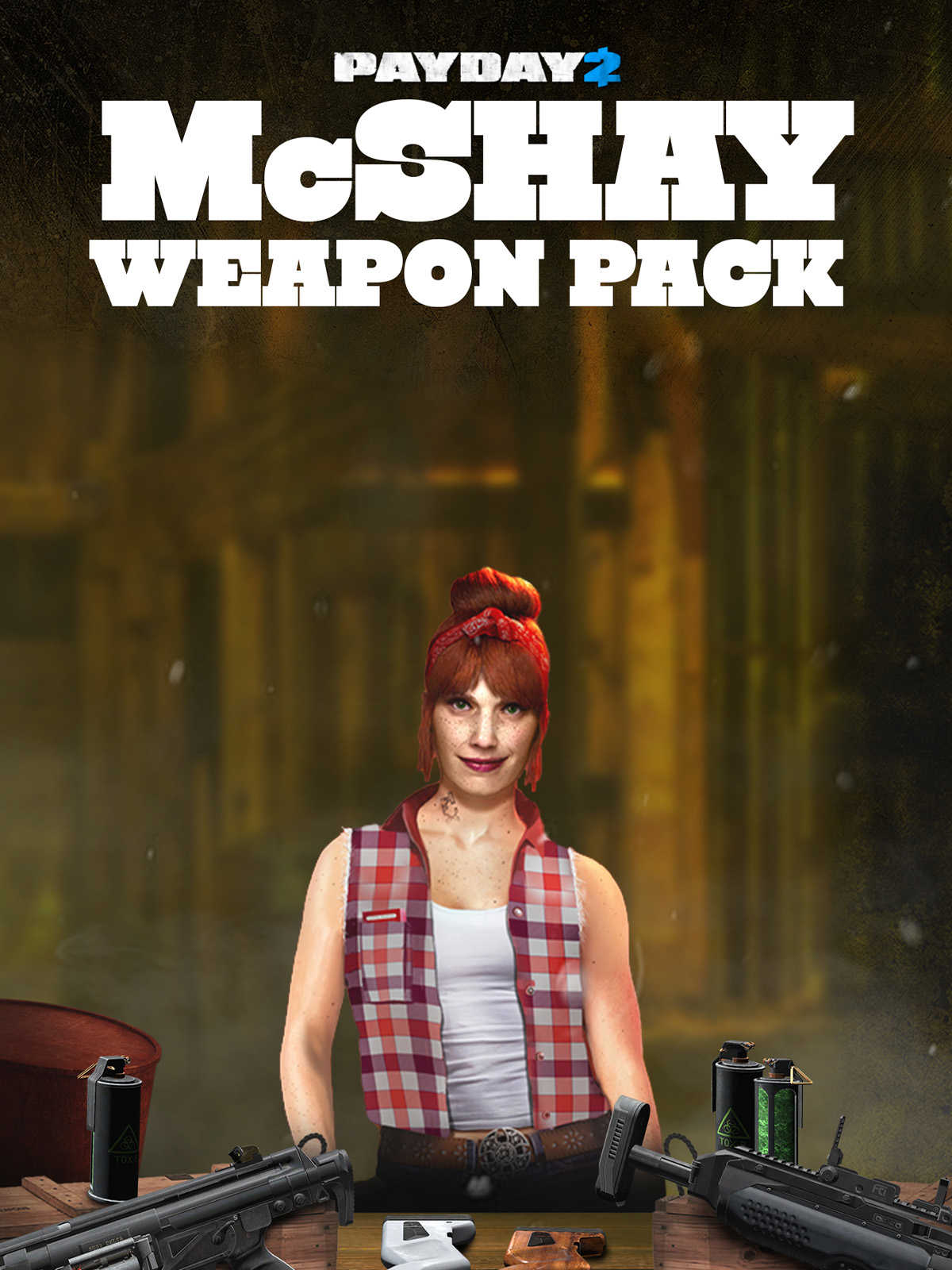 Payday 2: McShay Weapon Pack cover