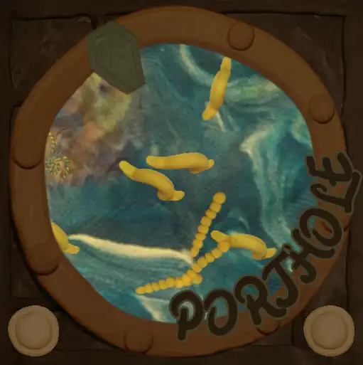Porthole cover