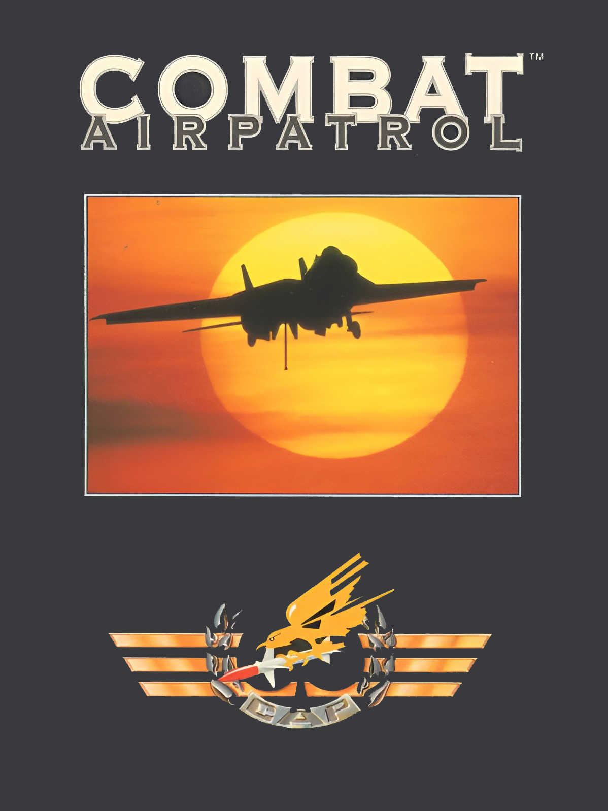 Combat Air Patrol cover