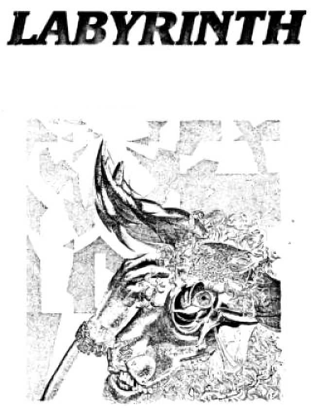 Labyrinth cover