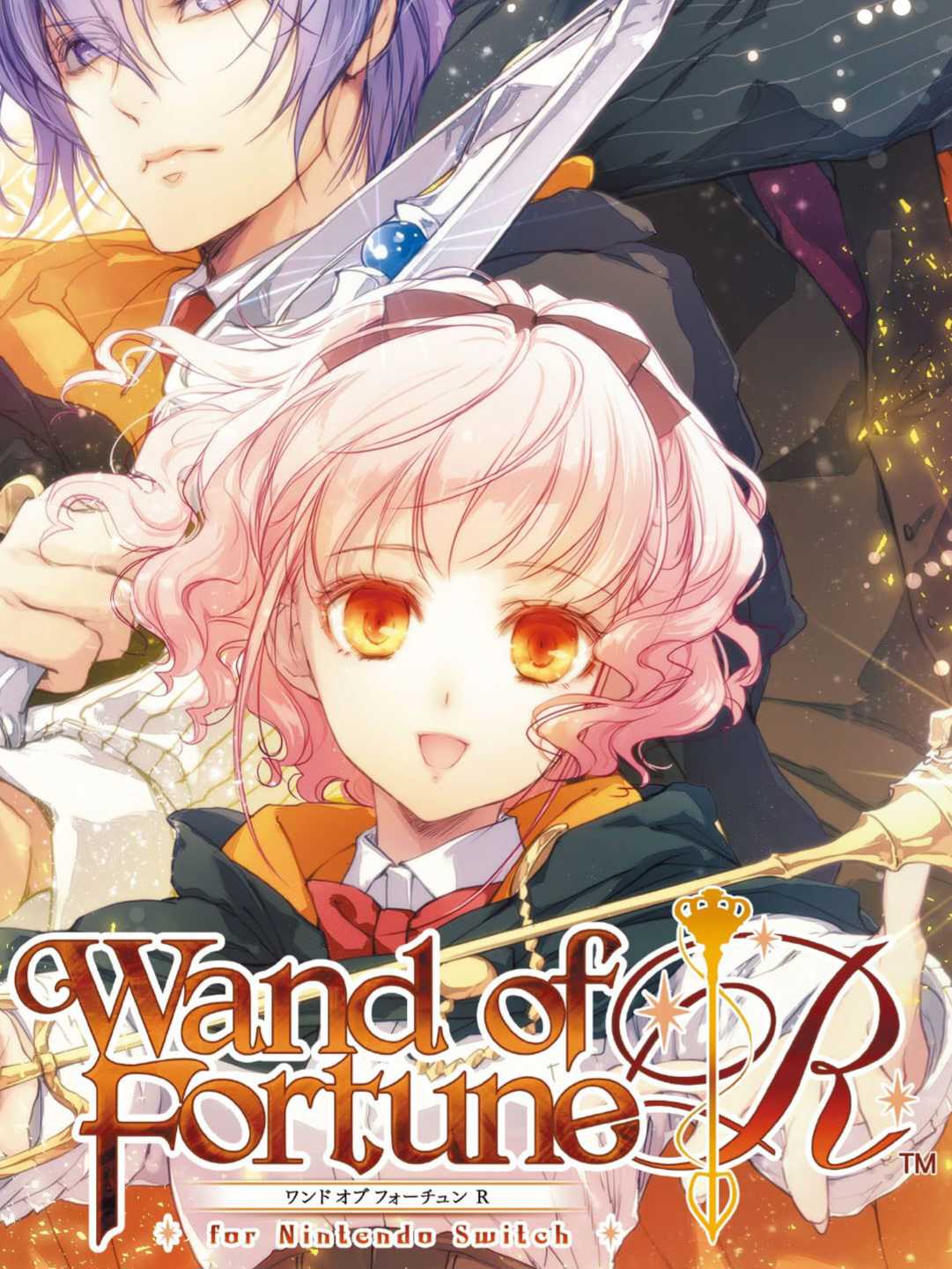 Wand of Fortune R for Nintendo Switch cover