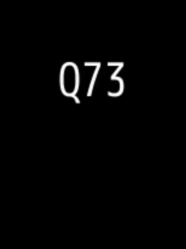 Q73 cover