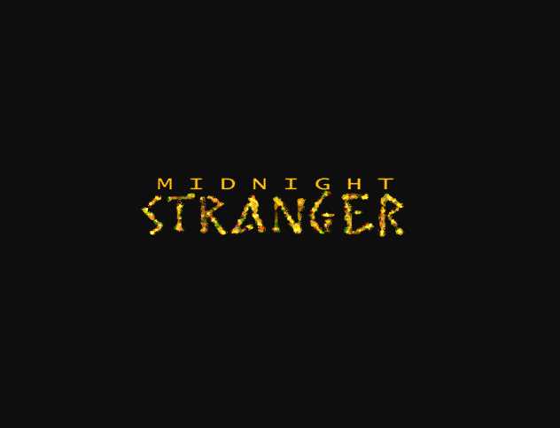 Midnight Stranger cover