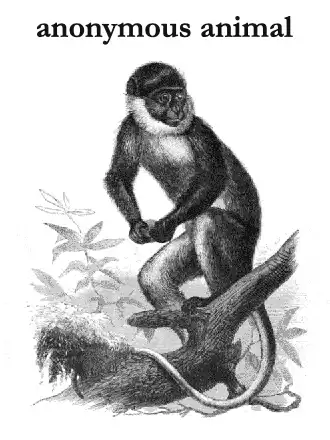 Anonymous Animal cover