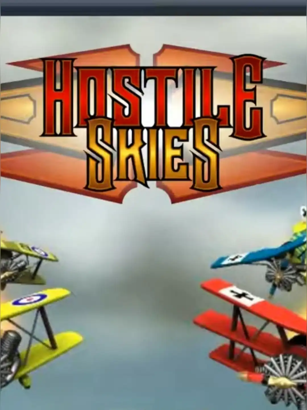 Hostile Skies cover