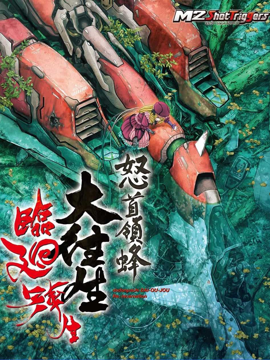 DoDonPachi Dai-Ou-Jou Re:Incarnation cover