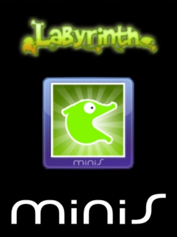 Labyrinth cover