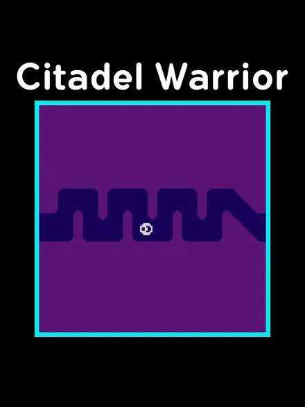 Citadel Warrior cover