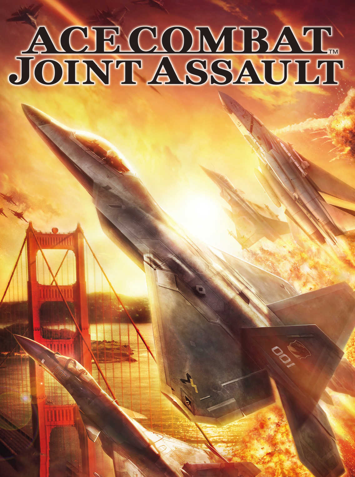 Ace Combat: Joint Assault cover