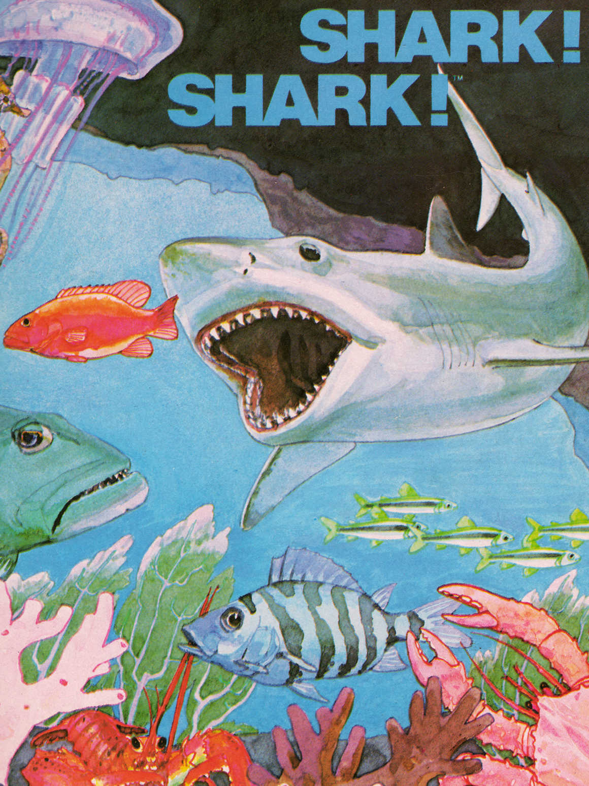 Shark! Shark! cover