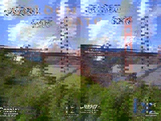 Golden Gate cover