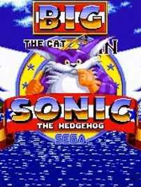 Big the Cat in Sonic the Hedgehog cover