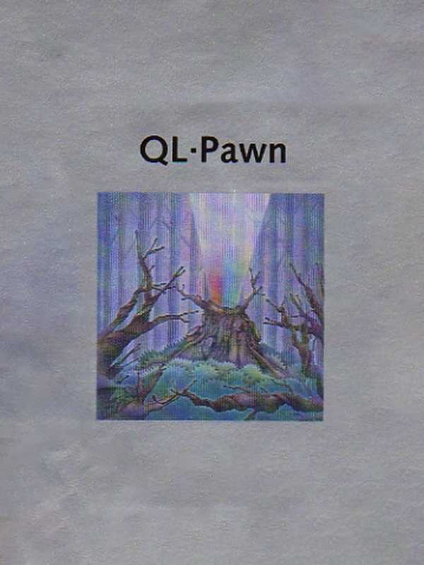 QL Pawn cover