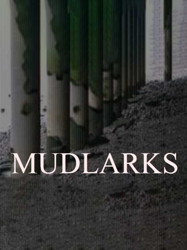 Mudlarks cover