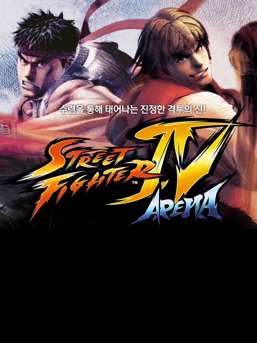 Street Fighter IV: Arena cover