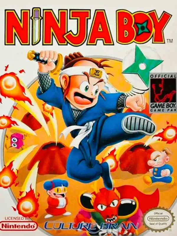Ninja Boy cover