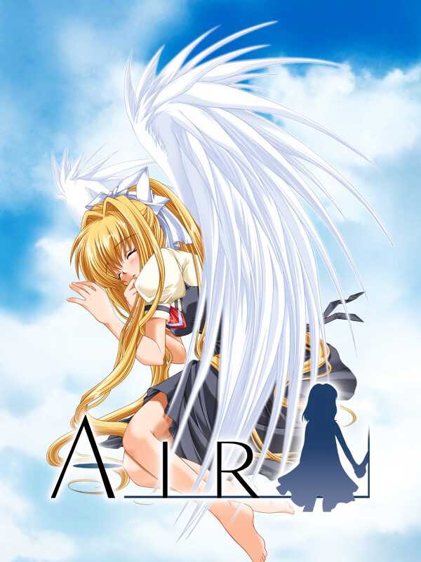 Air cover