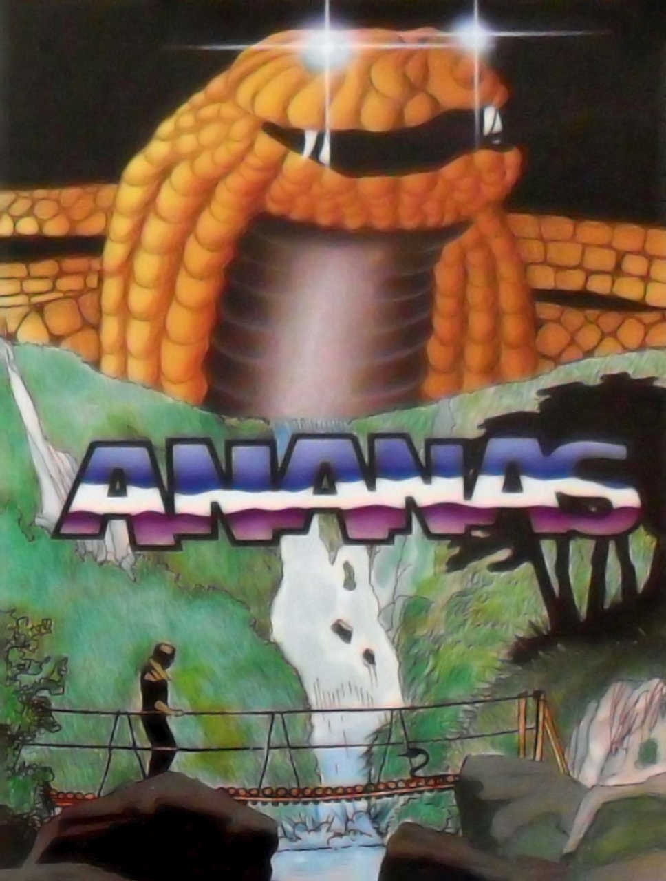 Ananas cover