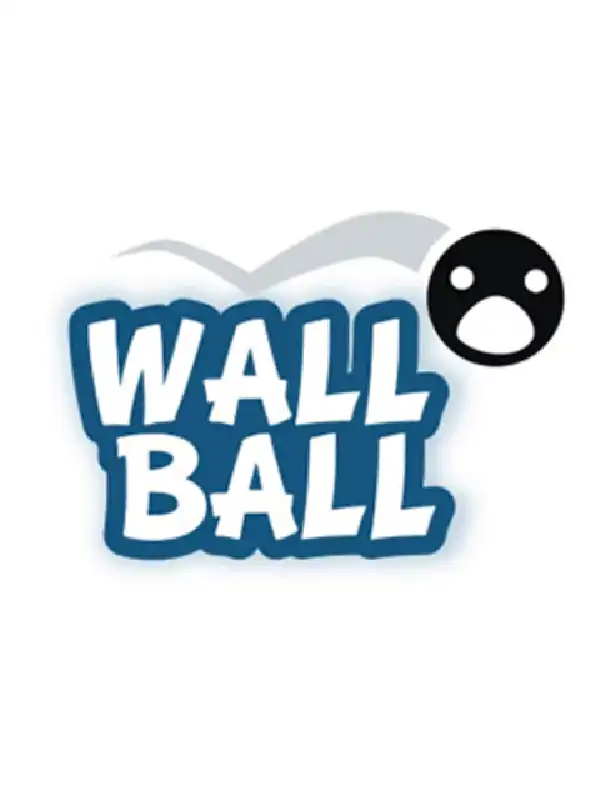 Wall Ball cover